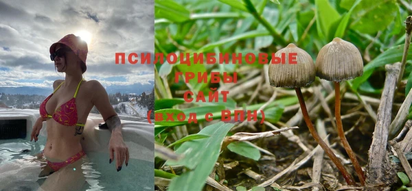 не бодяженный Алексин