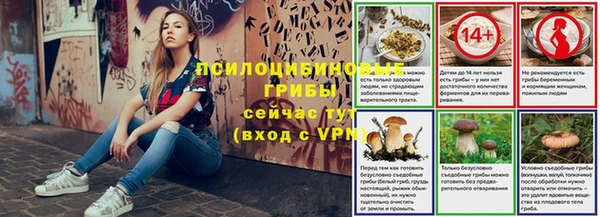 не бодяженный Алексин