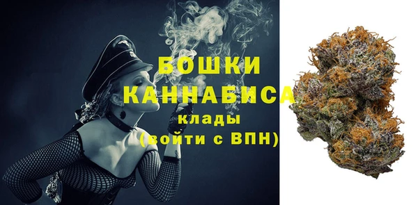 сатива Абаза