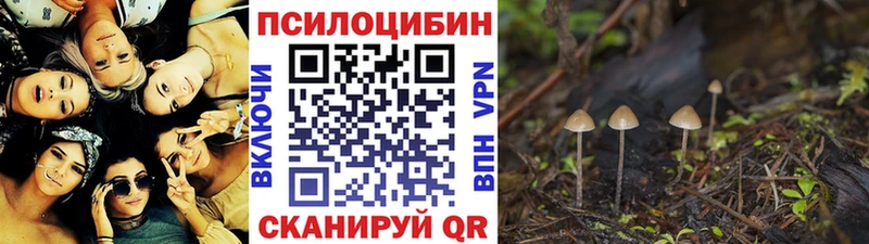Галлюциногенные грибы Magic Shrooms  Киров 